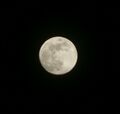 Photo of the Moon taken by the SFSA 2.jpg
