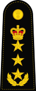 File:Lieutenant General (Vishwamitra) - OF-8.svg