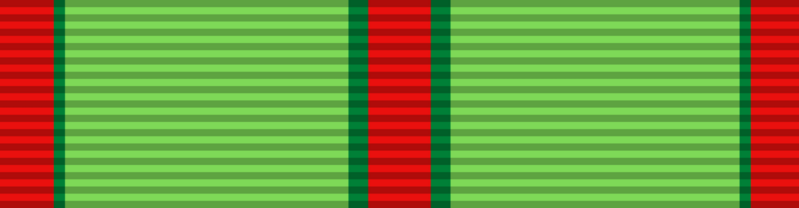 File:ScoutMedalNew.png