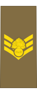 File:Baustralia Army OR-7 (King's Grenadiers).svg