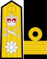 Commodore Rank Insignia.png