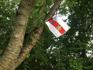 Photograph-of-URM-Flag-in-Tree.jpg