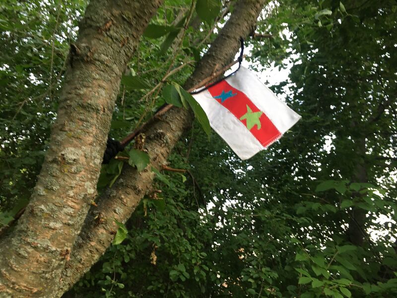 File:Photograph-of-URM-Flag-in-Tree.jpg