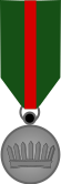 File:Medal of the Army Service Medal, swing mounted.svg
