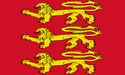 Flag of Viceroyalty of England