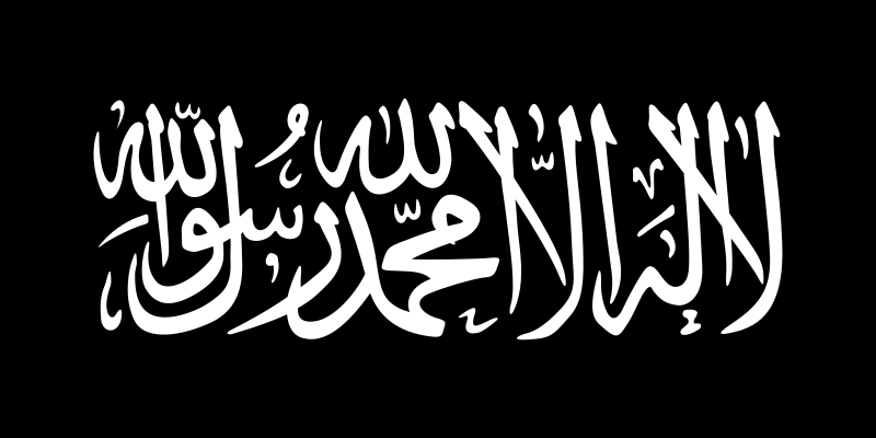 File:Flag of Al-Qaeda.svg