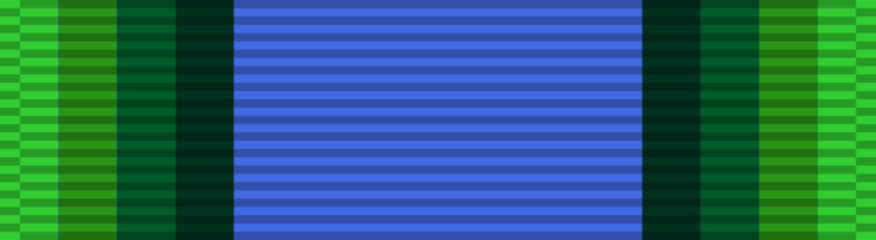File:Ribbon bar of the Drill Team Service Ribbon of Rote Berge.svg
