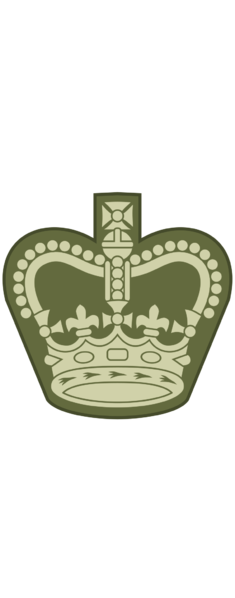 File:West Canadian Army Warrent Officer.png