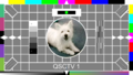 Test card in use since 28 September 2019
