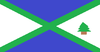 Flag of Town of Carnegi