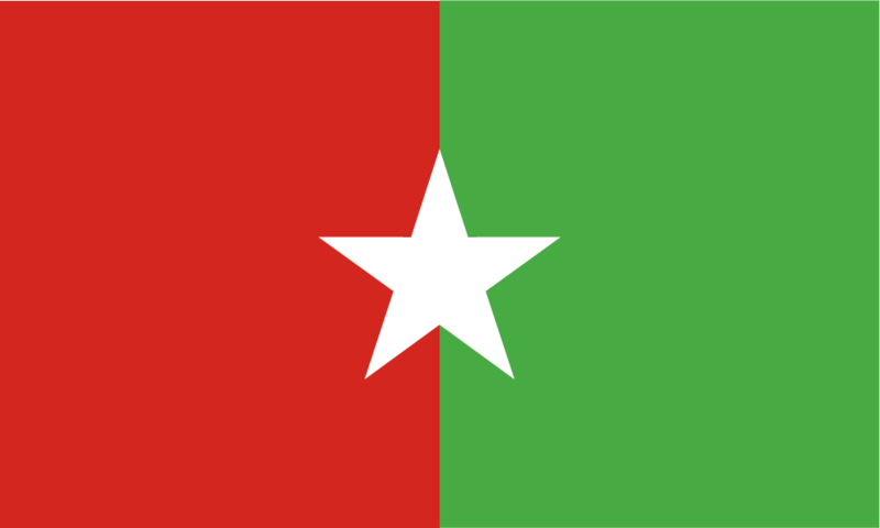 File:Flag of Arroyo.png