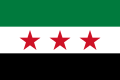 Flag of Syrian National Government (2011–present)