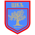 Sports club logo (2022–)