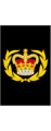 Warrant Officer (Navy).png