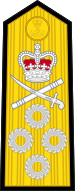 File:Admiral (Vishwamitra) - Shoulder (OF-9).svg