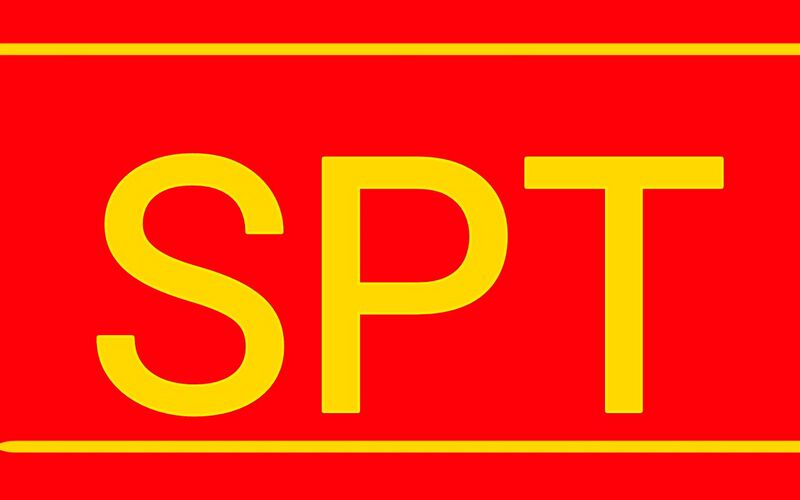 File:Flag of the Socialist Party of Tanzig.jpg