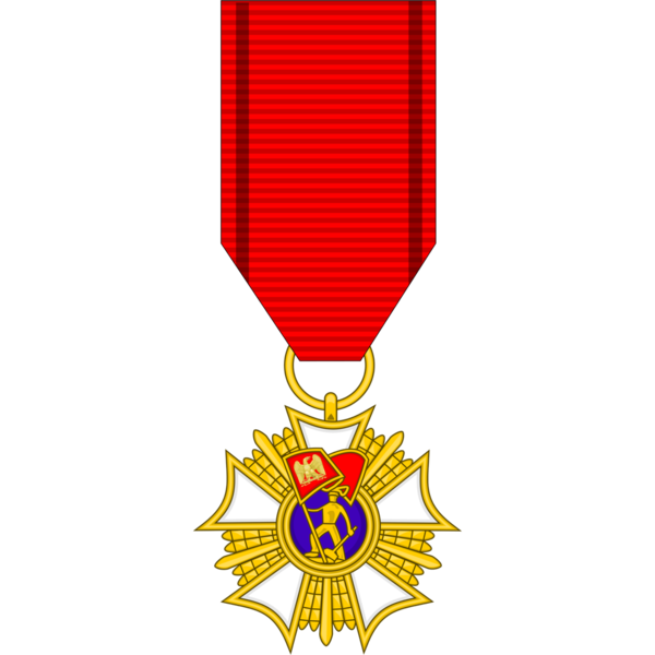 File:Parliamentary Medal of Public Service - First Class.png