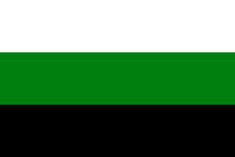 File:Flag of Xaversko-Sarsky Kraj.png