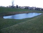 The Hogg Pit in Carshalton Park full of water.