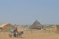 Sudan Envoy - Abyei.jpg