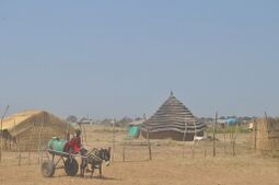 View of Abyei City, with traditional dwellings