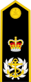 Admiral of the Fleet (Queensland) - OF-10.svg