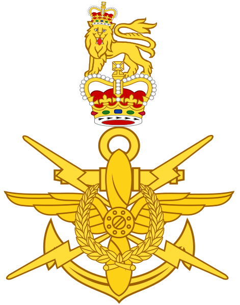 File:Maritime and Cyber Command - Badge.svg