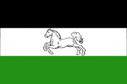 Ottoburg Official Flag.jpg
