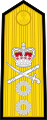 Rear Admiral (Vishwamitra) - Shoulder (OF-7).svg