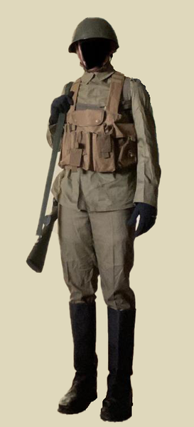 File:UWSSoldier.png