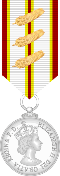 File:Medal of Red Cross Medal (Queensland) 1 C.png