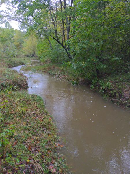 File:Natilianian creek.jpg