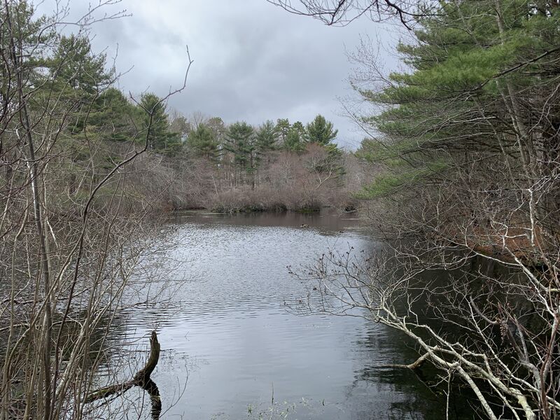 File:Patchogue River.jpg