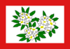 Flag of Mutsuba Town Special Economic Zone