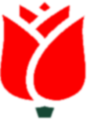 Democratic Party of Cycoldia Logo.png
