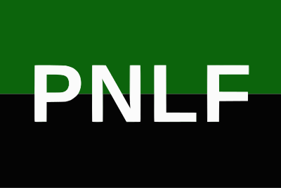 File:Flag of the PNLF.svg