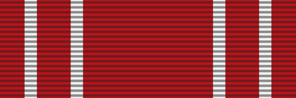 File:SNC-Medal of the Public Force ribbon.svg