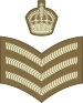 File:Baustralia Army OR-7.svg