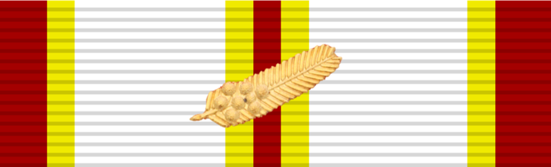 File:3 Class Ribbon of Red Cross Medal (Queensland).png