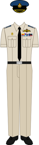File:John I in No. 6B dress (HRAF).svg