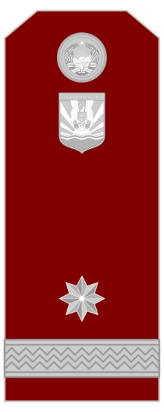 File:Colonel - Snagov (Navy).svg