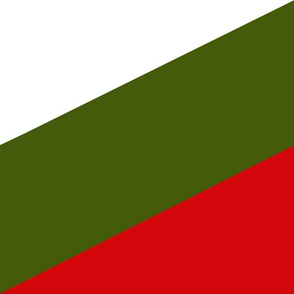 File:Flag of Ongal.jpg