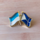 Pavlov-lostisland-flag-pin.png