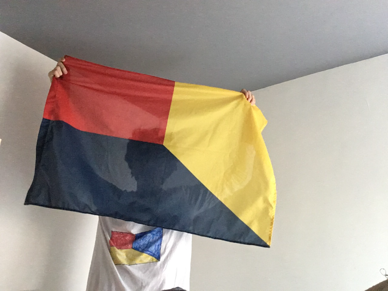 File:Zed I holding a New Eiffelic flag.png