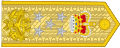 Commander-in-chief of Queenslandian Armed Forces - rotated.svg