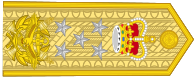 File:Commander-in-chief of Queenslandian Armed Forces - rotated.svg