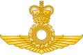 Royal Vishwamitran Air Force - Badge.svg