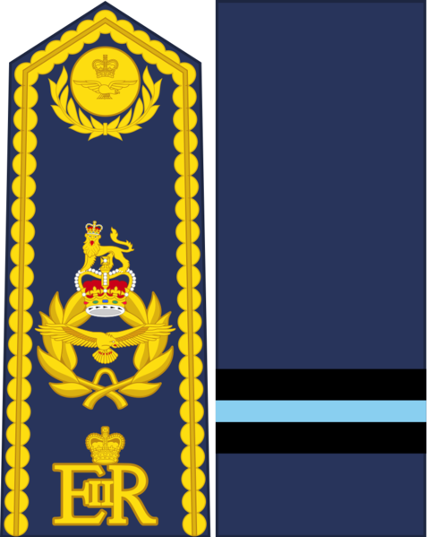File:Royal West Canadian Air Force Air Commodore.png