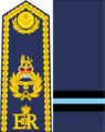 Royal West Canadian Air Force Air Commodore.png