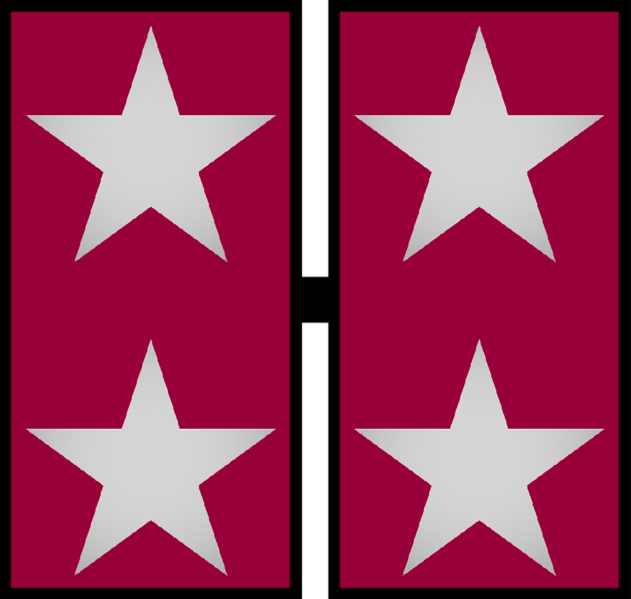 File:Lieutenant Colonel of the Air Force (NE).png